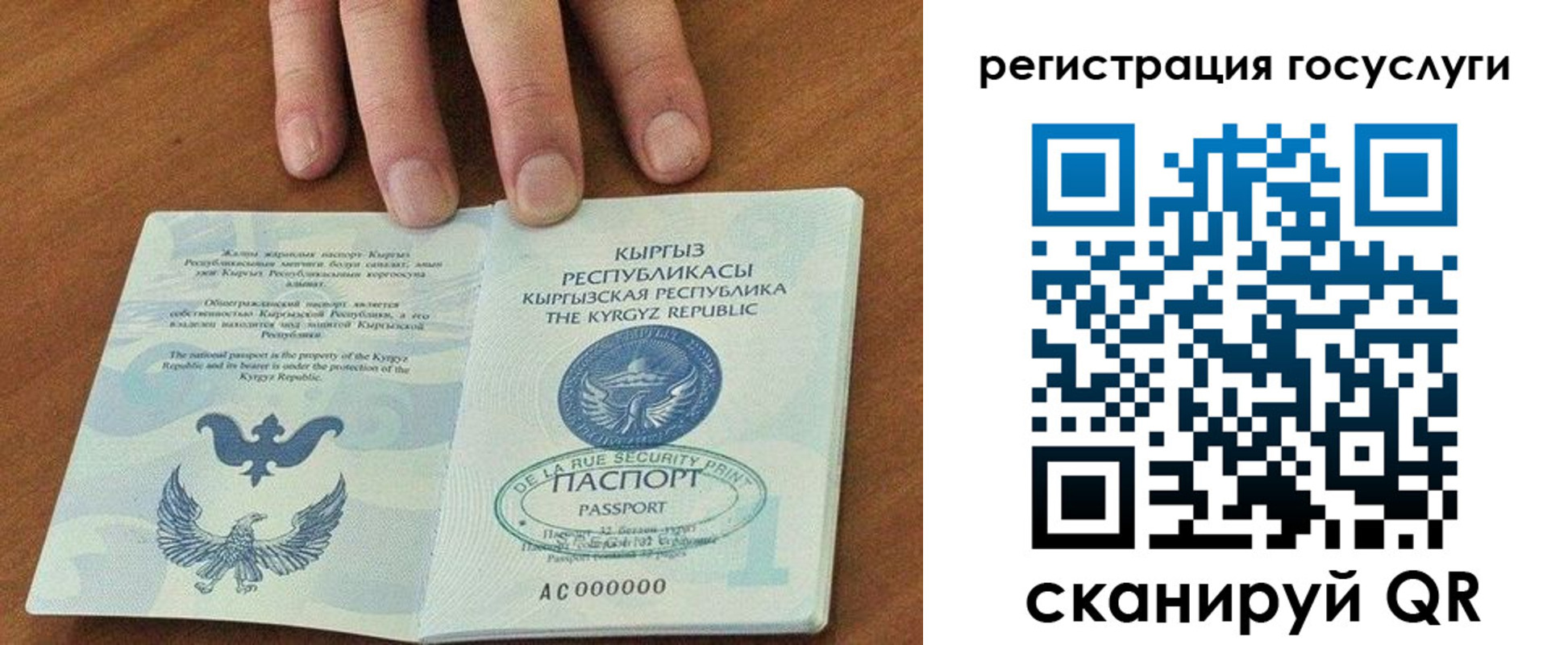 прописка ребенка в Алейске